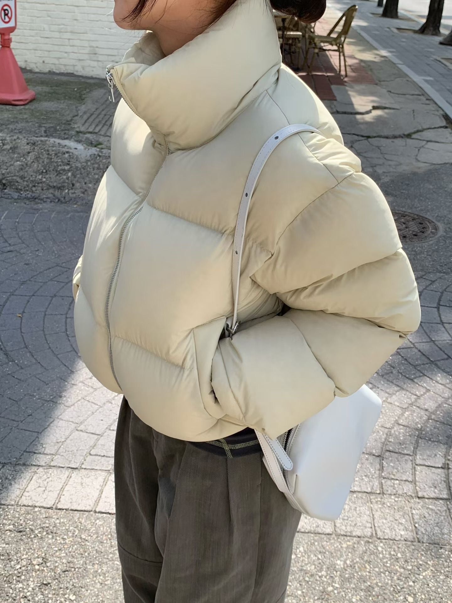 Lavinia Goose Down Jacket (4 Colors)